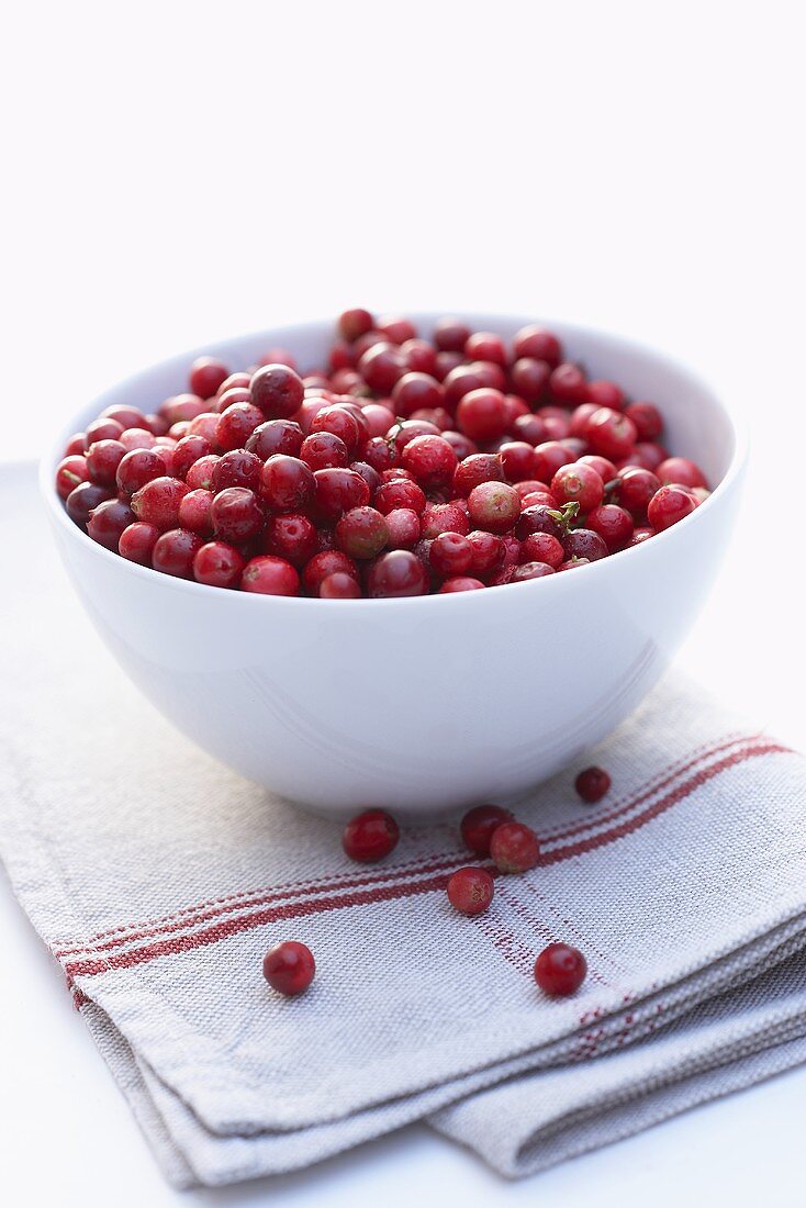 European cranberries in bowl
