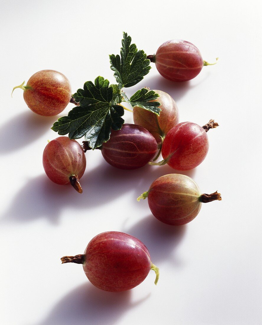 Kleine rote Stachelbeeren