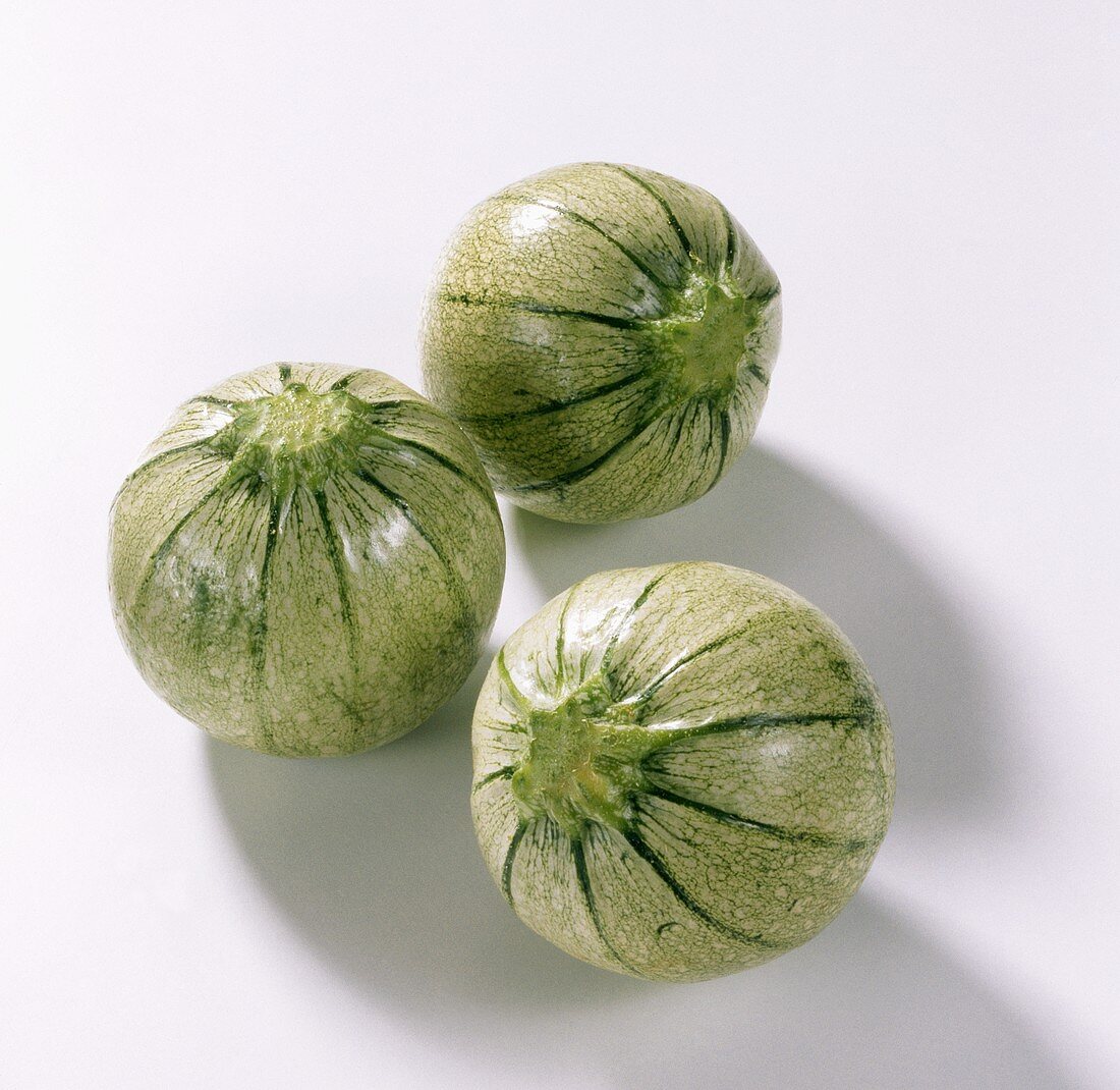Three rondini (similar to courgettes, but not edible raw)