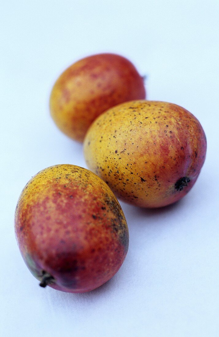 Three baby mangos