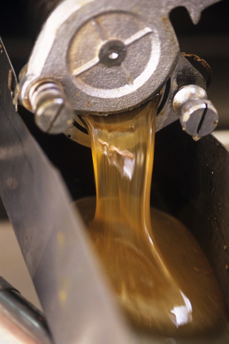 Processing honey in a factory