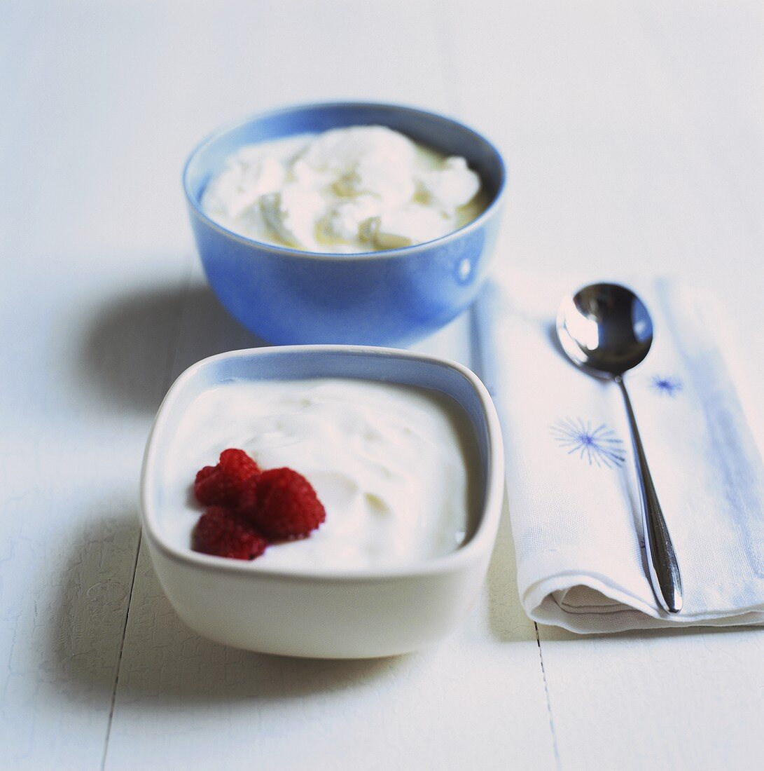 Different natural yoghurts in small bowls