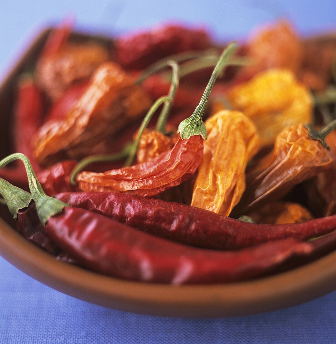 Dried chili peppers 