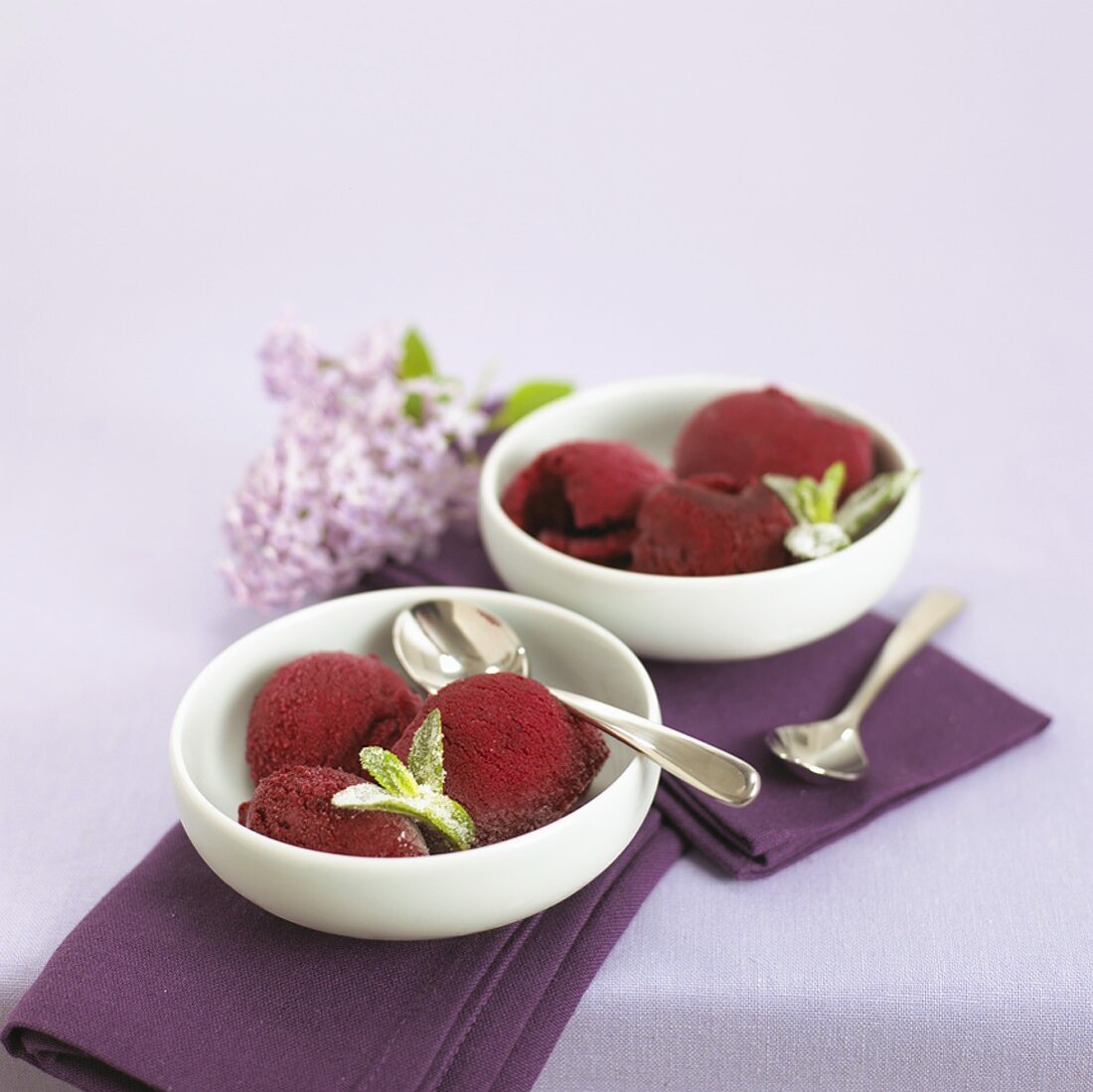 Redcurrant sorbet in dessert bowls