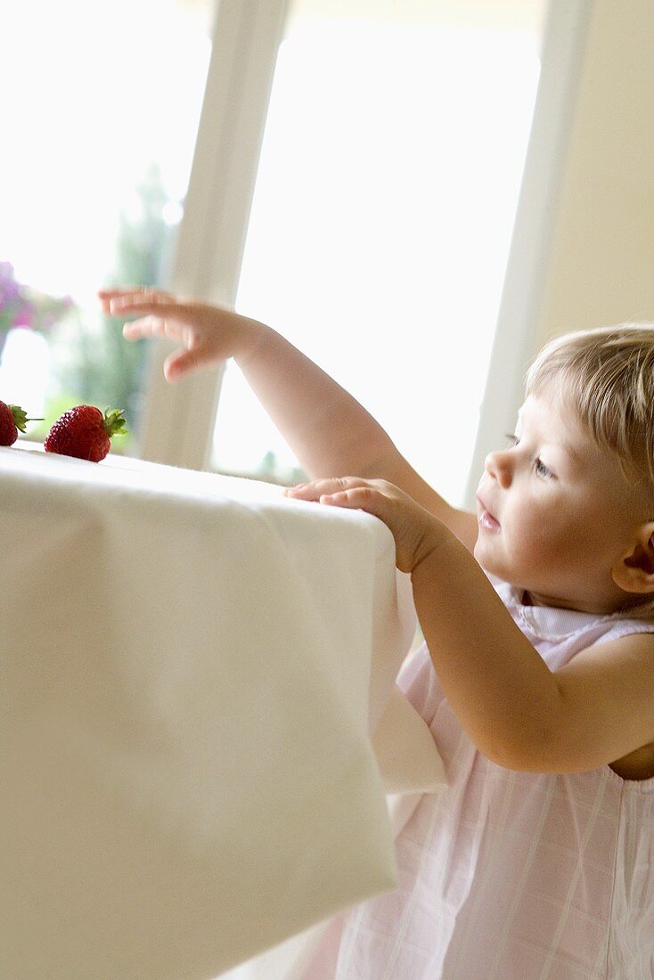 Small child reaching for strawberry on table