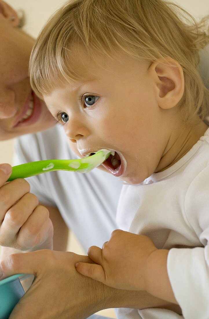 Small child opening mouth to be fed