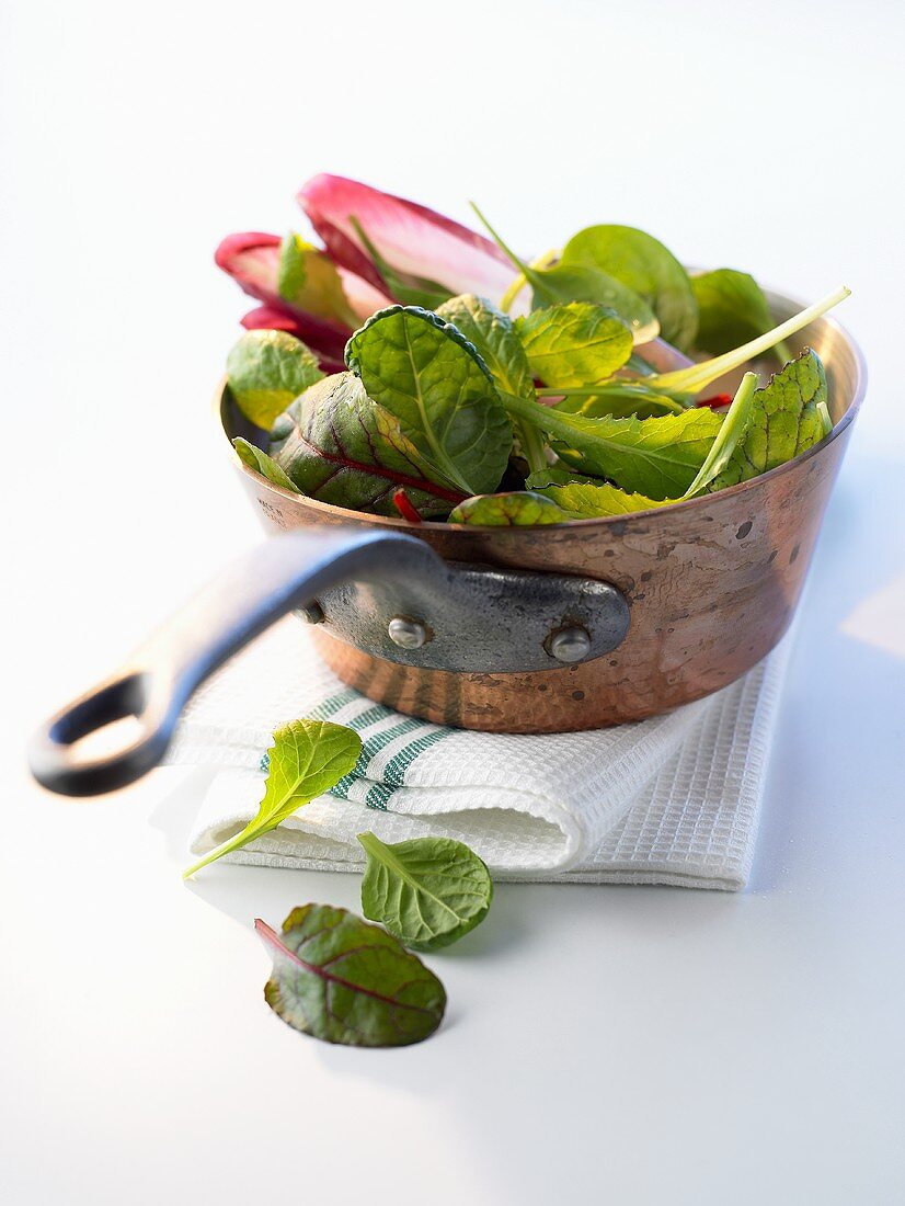 Assorted salad leaves (shiso, spinach, chard, chicory)
