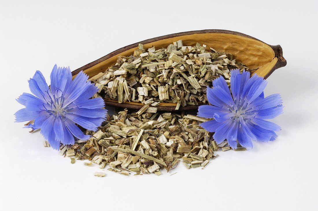 Wild chicory flowers and chopped chicory for making tea