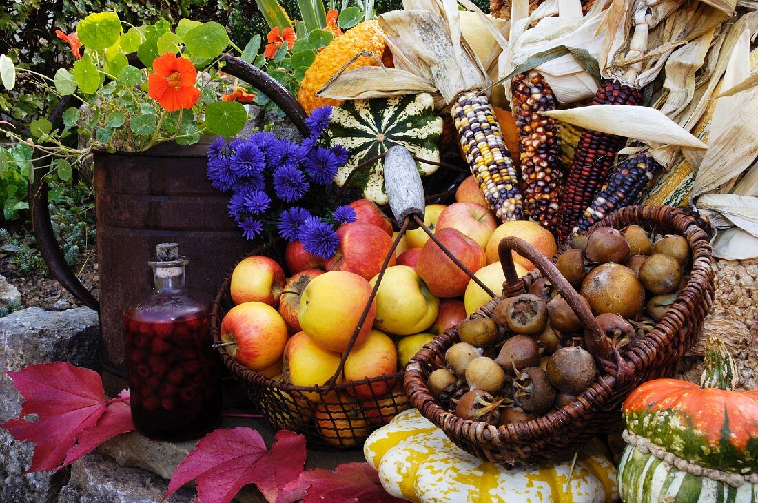 Herbstliches Stillleben mit Mais, Äpfeln, Kürbis und Blüten