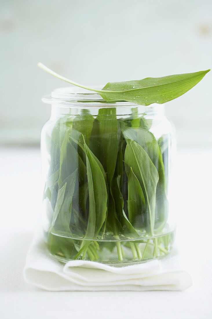 Ramsons (wild garlic) leaves in water in a preserving jar