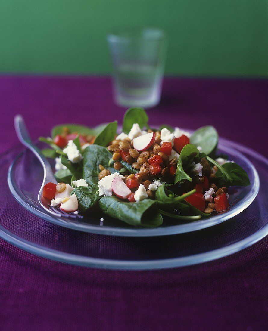Spinach and lentil salad with feta and radishes