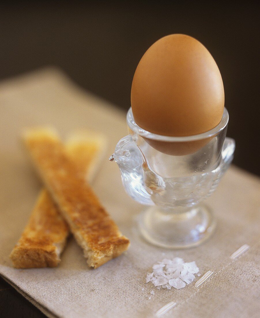 Egg and Soldiers (gekochtes Ei mit Toaststreifen; England)