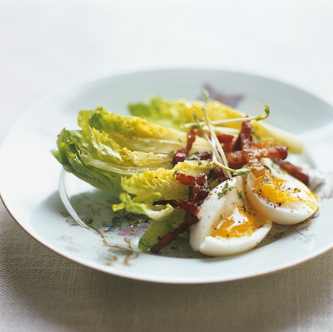 Romaine lettuce with boiled egg and fried bacon