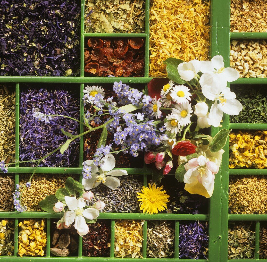 Setzkasten mit verschiedenen Blüten- & Aromasorten für Tees