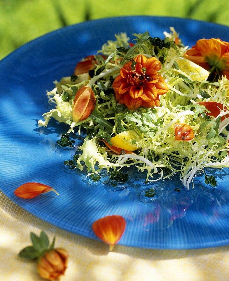 Frisee-Salat mit Dahlien