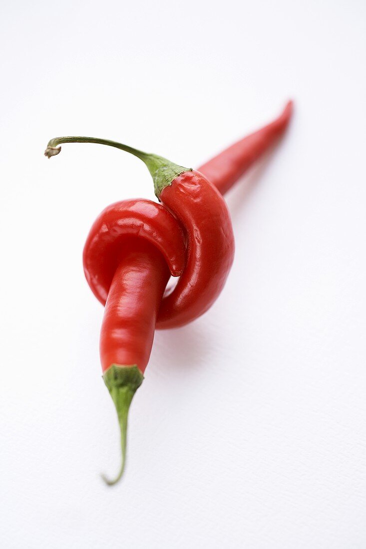 Two chillies, one twisted around the other