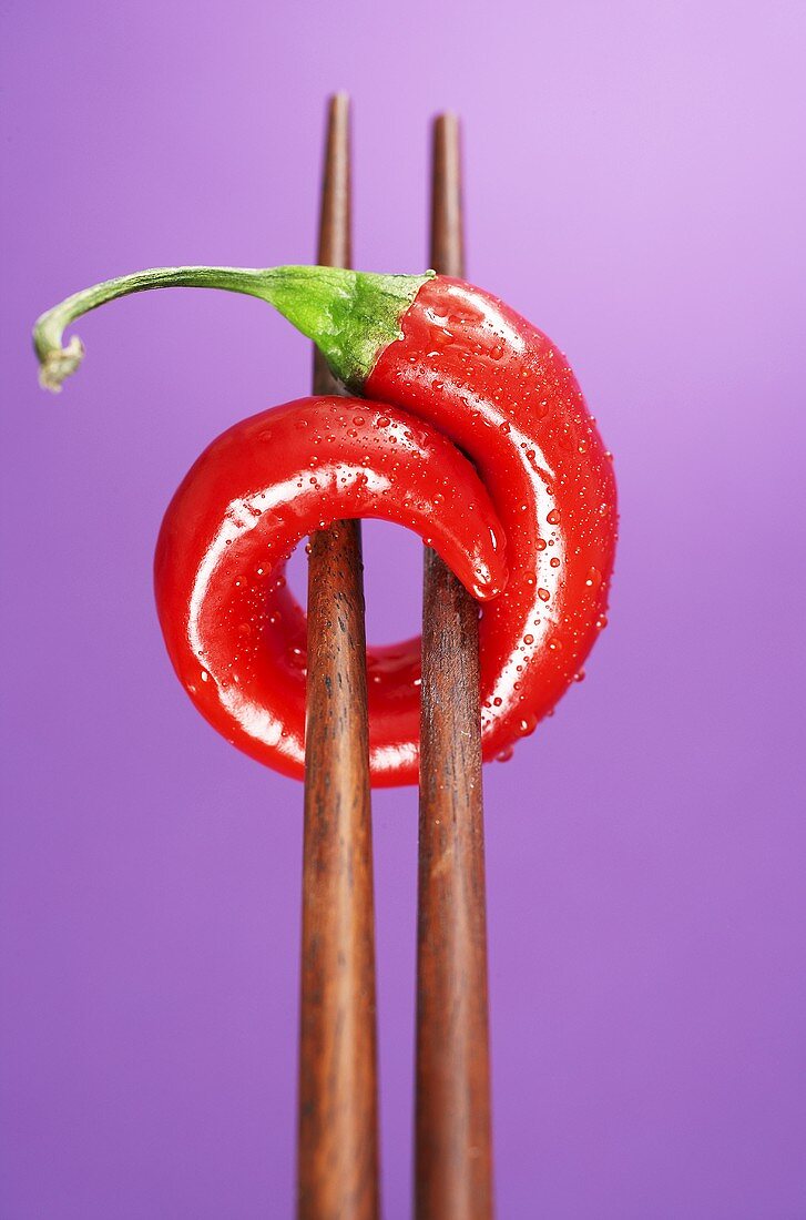 A chilli on chopsticks, purple background