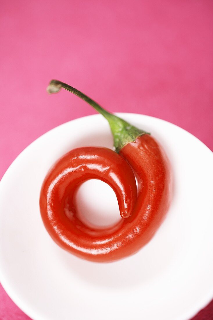 A chilli in a small white dish