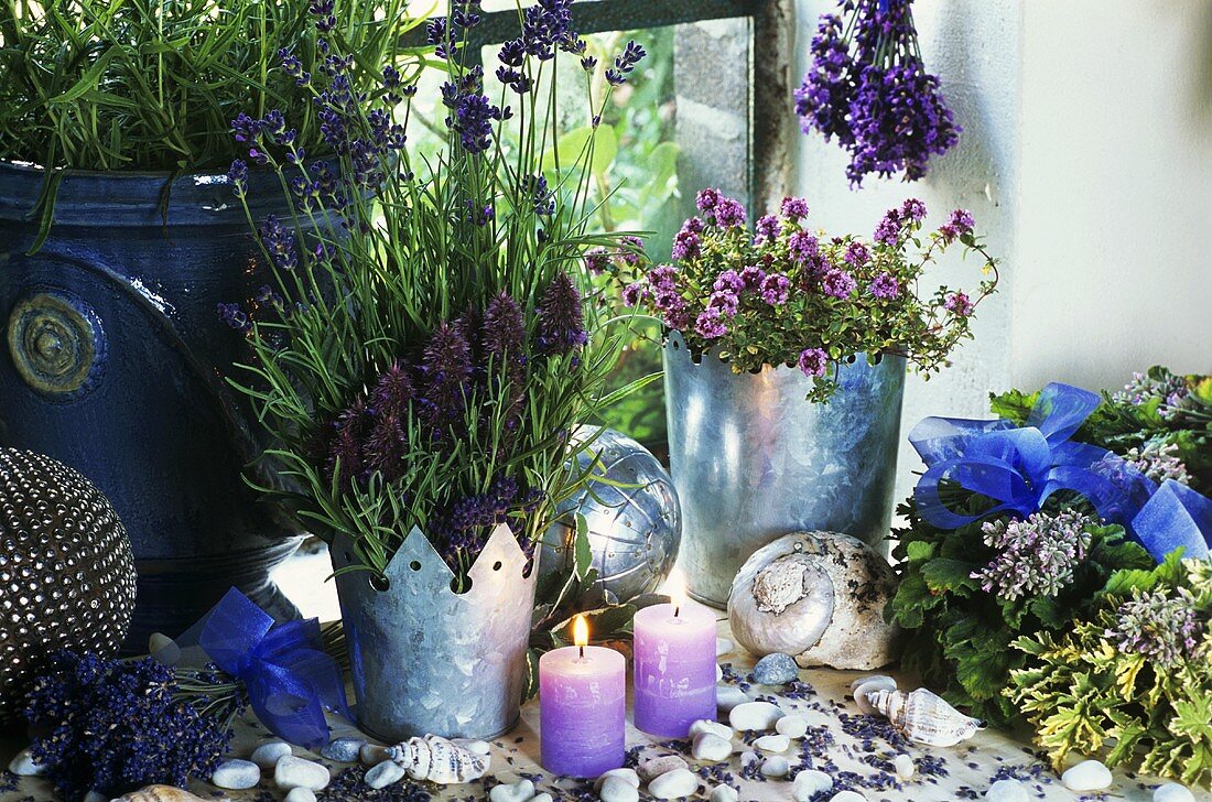 Fensterdeko mit Lavendel und Kräutern