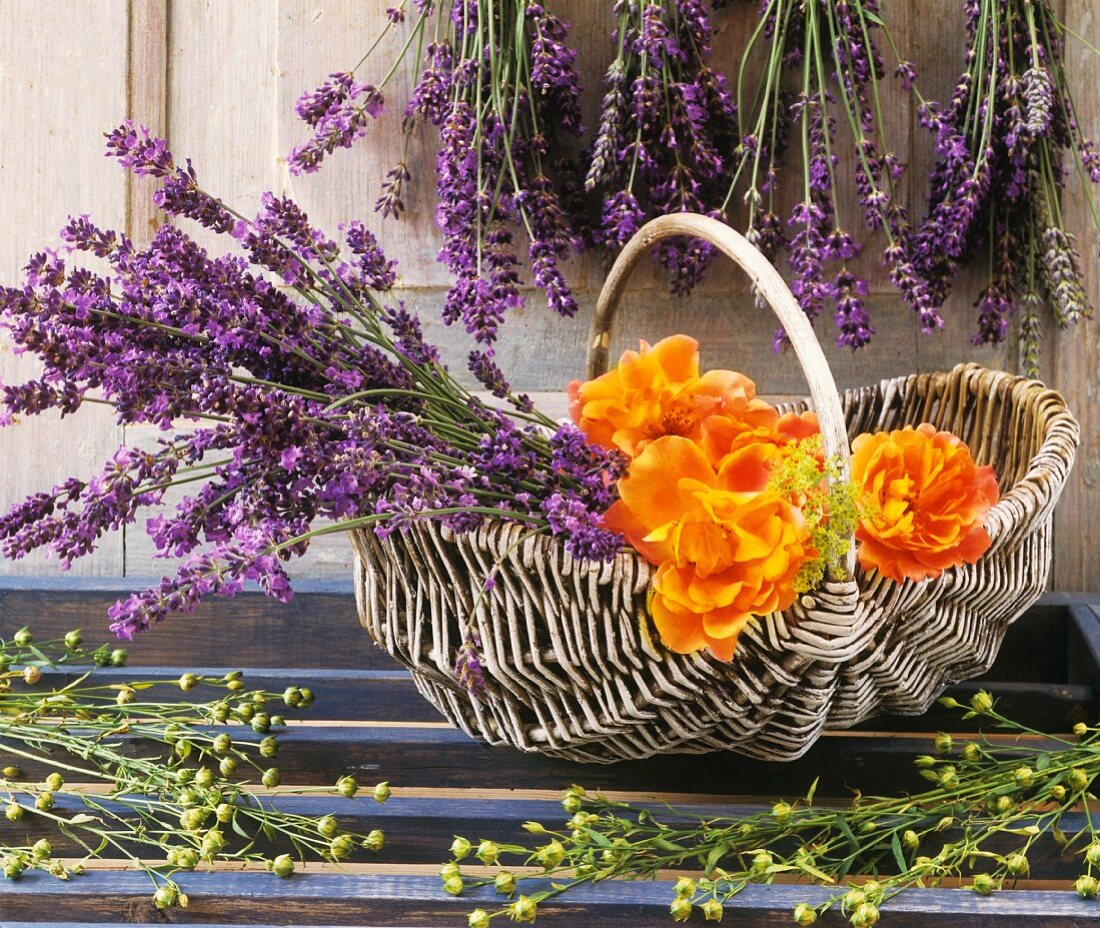 Lavendel im Korb mit Rosen