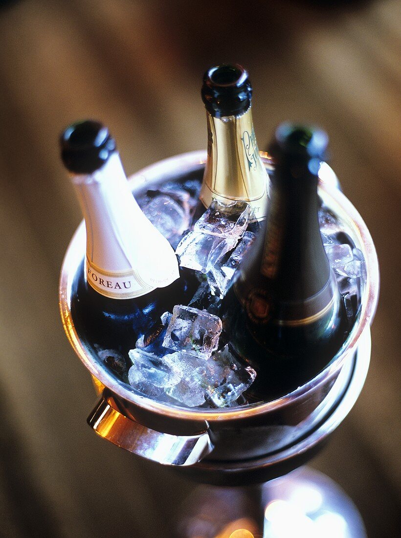 Drei Champagnerflaschen im Sektkühler mit Eiswürfeln