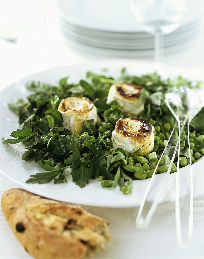 Salad of herbs, beans and peas with fried goat's cheese
