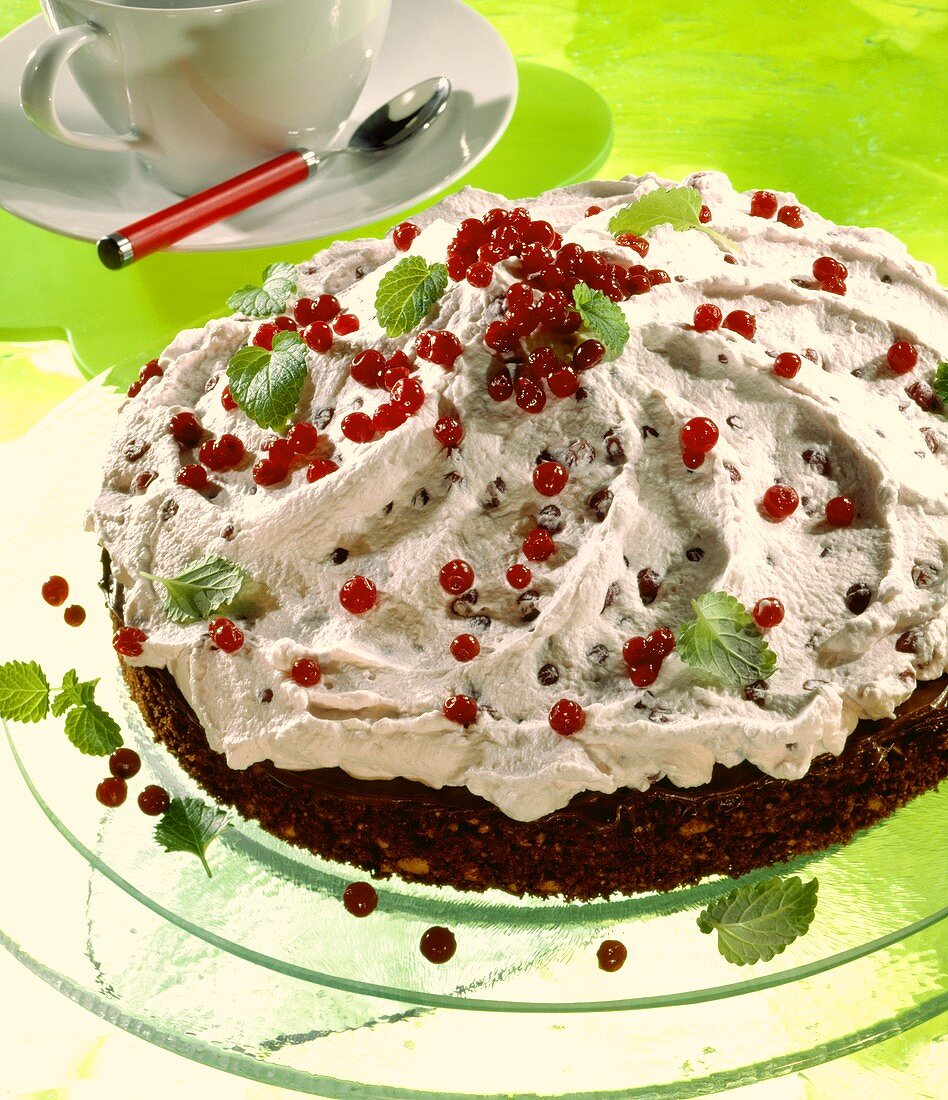 Chocolate cake with redcurrant cream