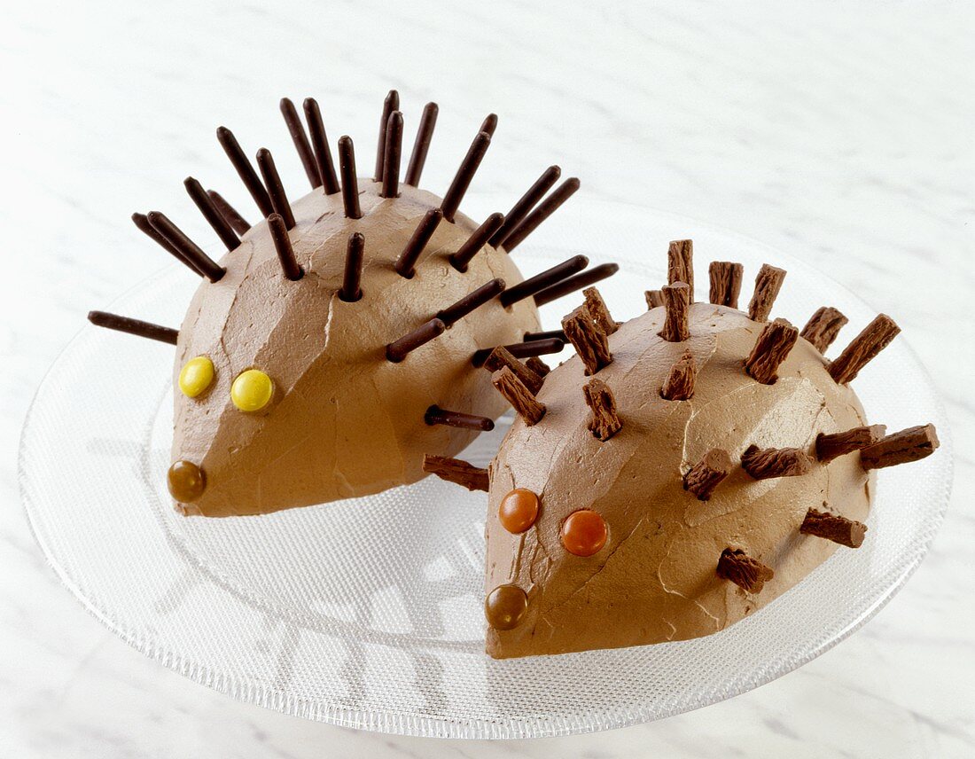 Two chocolate hedgehogs