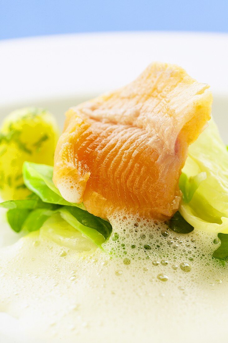 A piece of salmon trout fillet with vegetables & frothy sauce