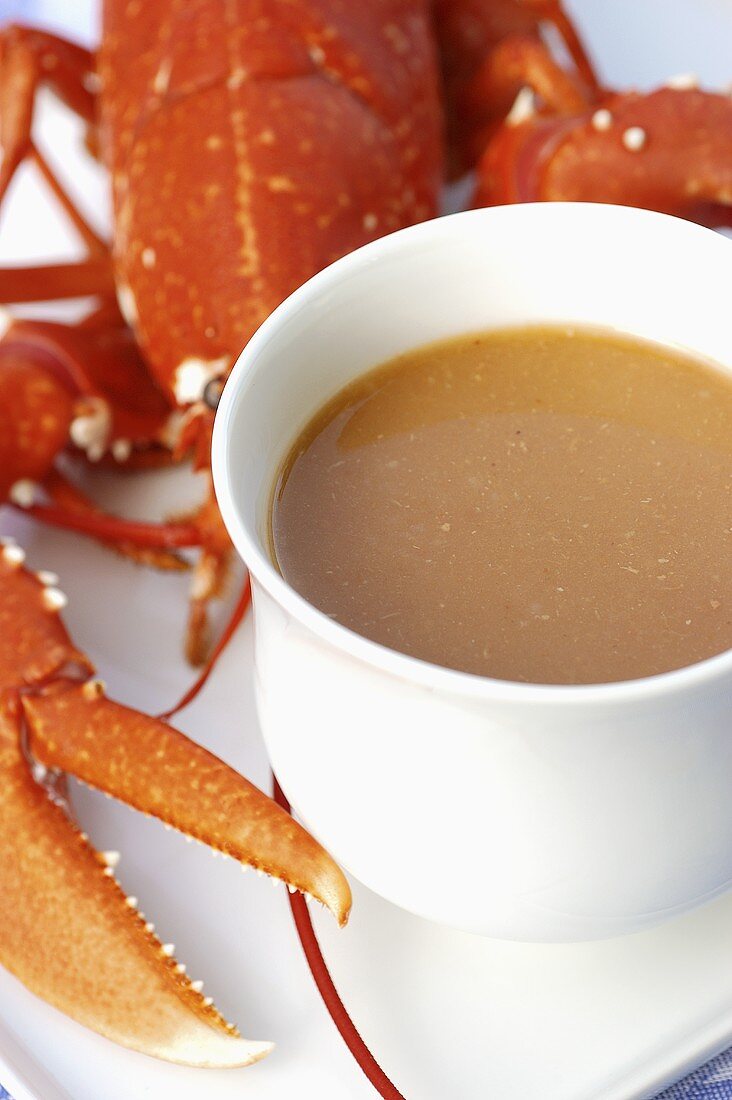 Bisque de Homard (Hummersuppe)