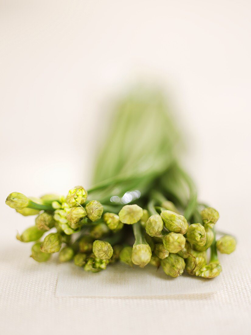 Flowering Asian chives