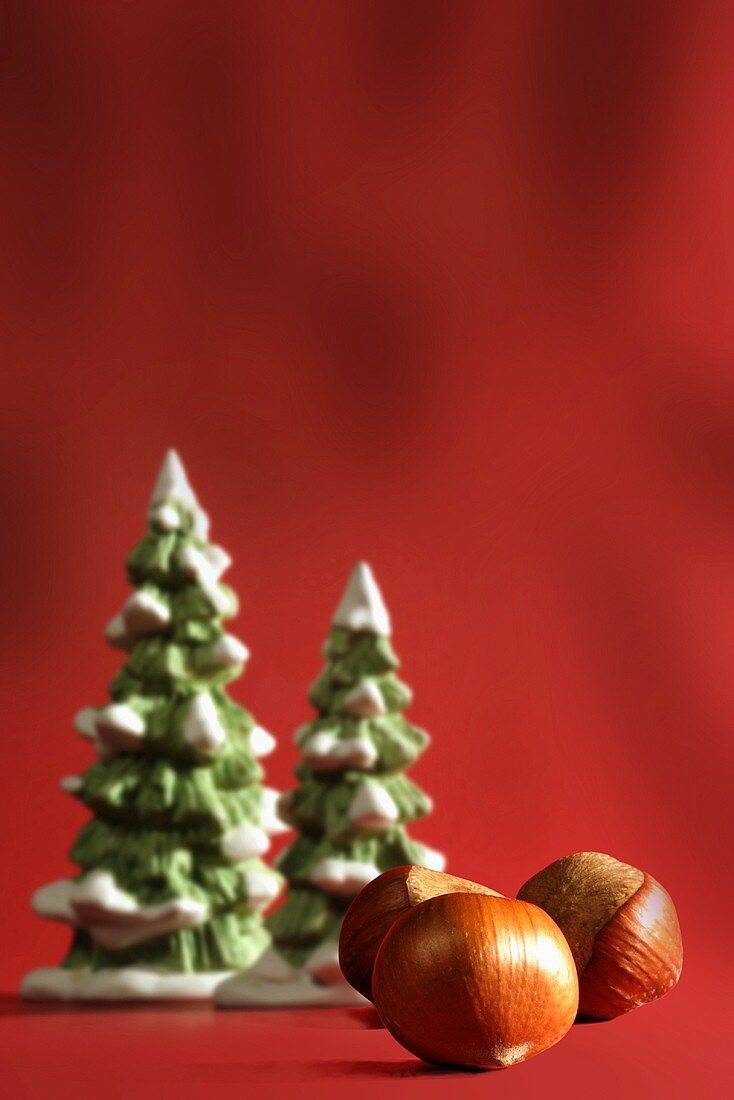Three hazelnuts lying in front of artificial fir trees
