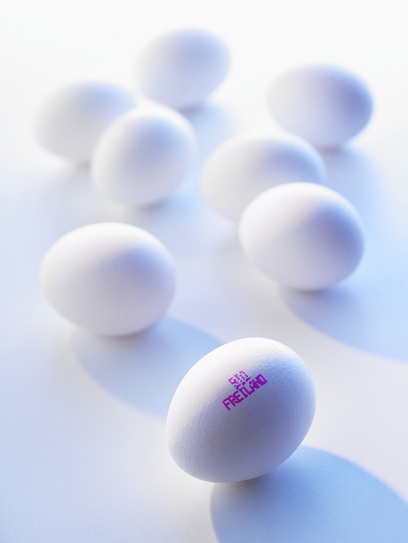 weiße Bio-Freiland-Eier mit Herkunftsstempel
