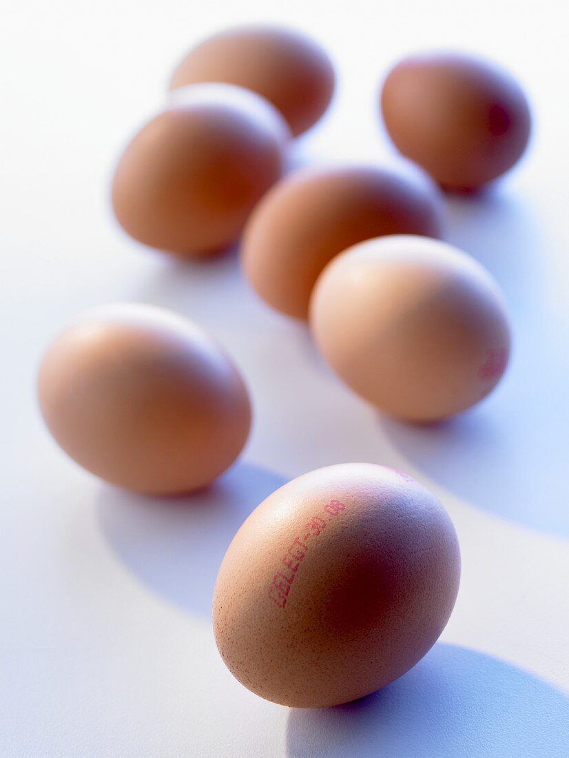 Braune Eier mit Stempel des Legedatums
