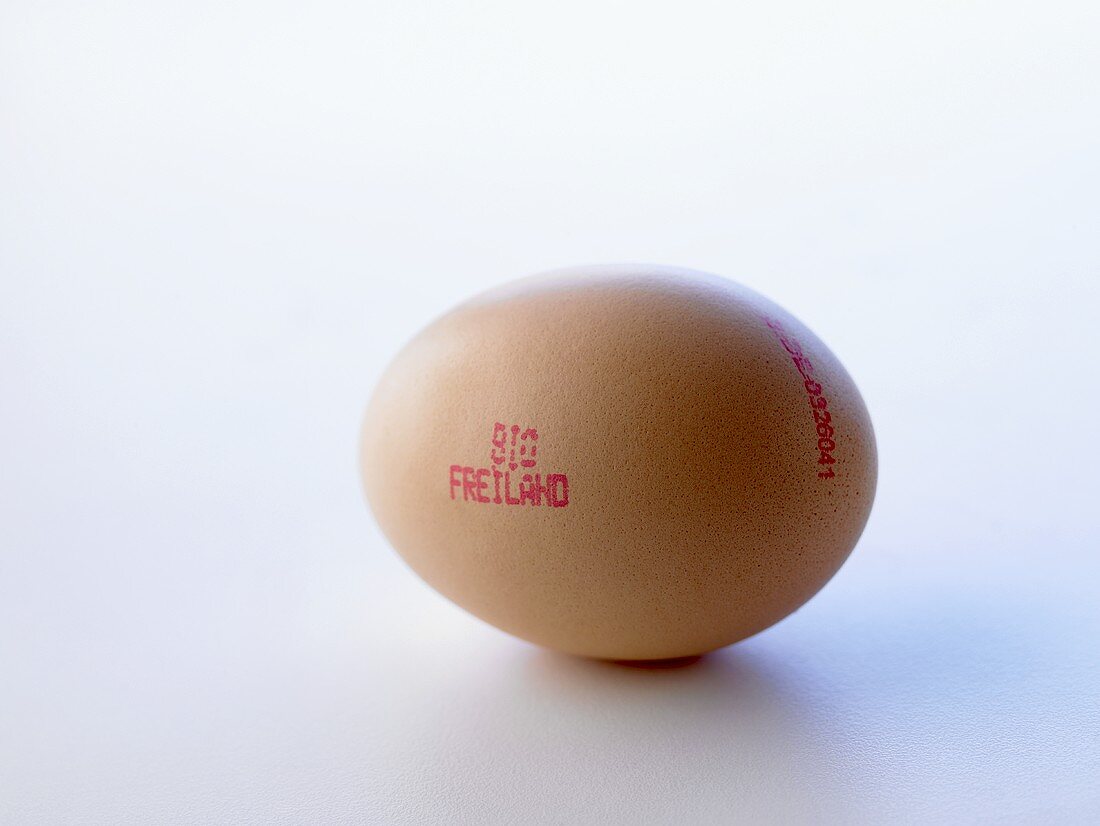 A brown organic free-range egg