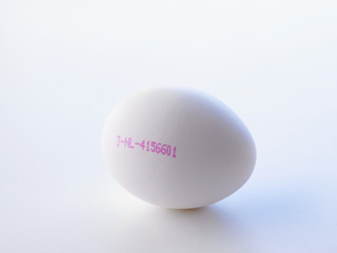 Ein weisses Ei mit Herkunftsstempel (3 = Käfighaltung)