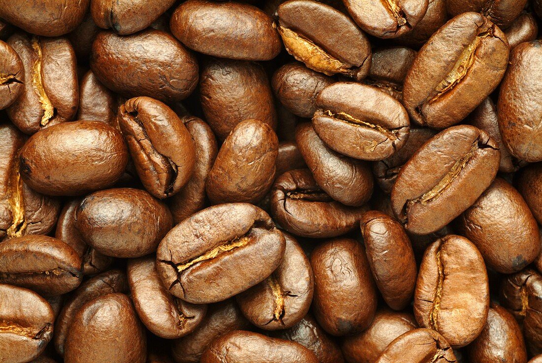 Roasted coffee beans (filling the picture)