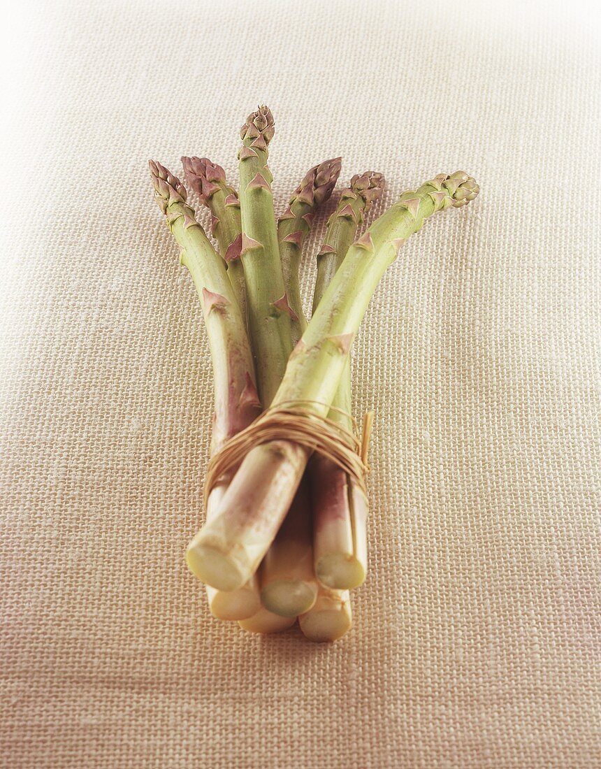 Green asparagus in a bundle