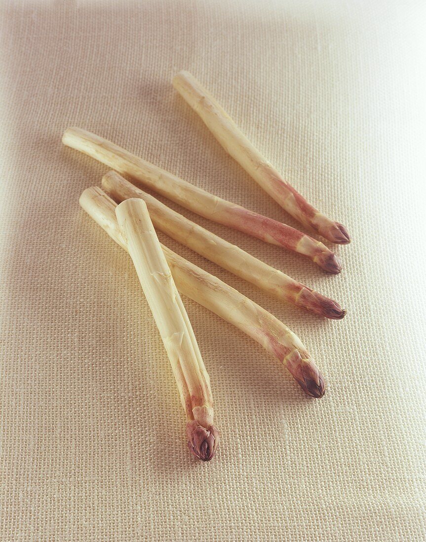 Five spears of white asparagus with purple heads