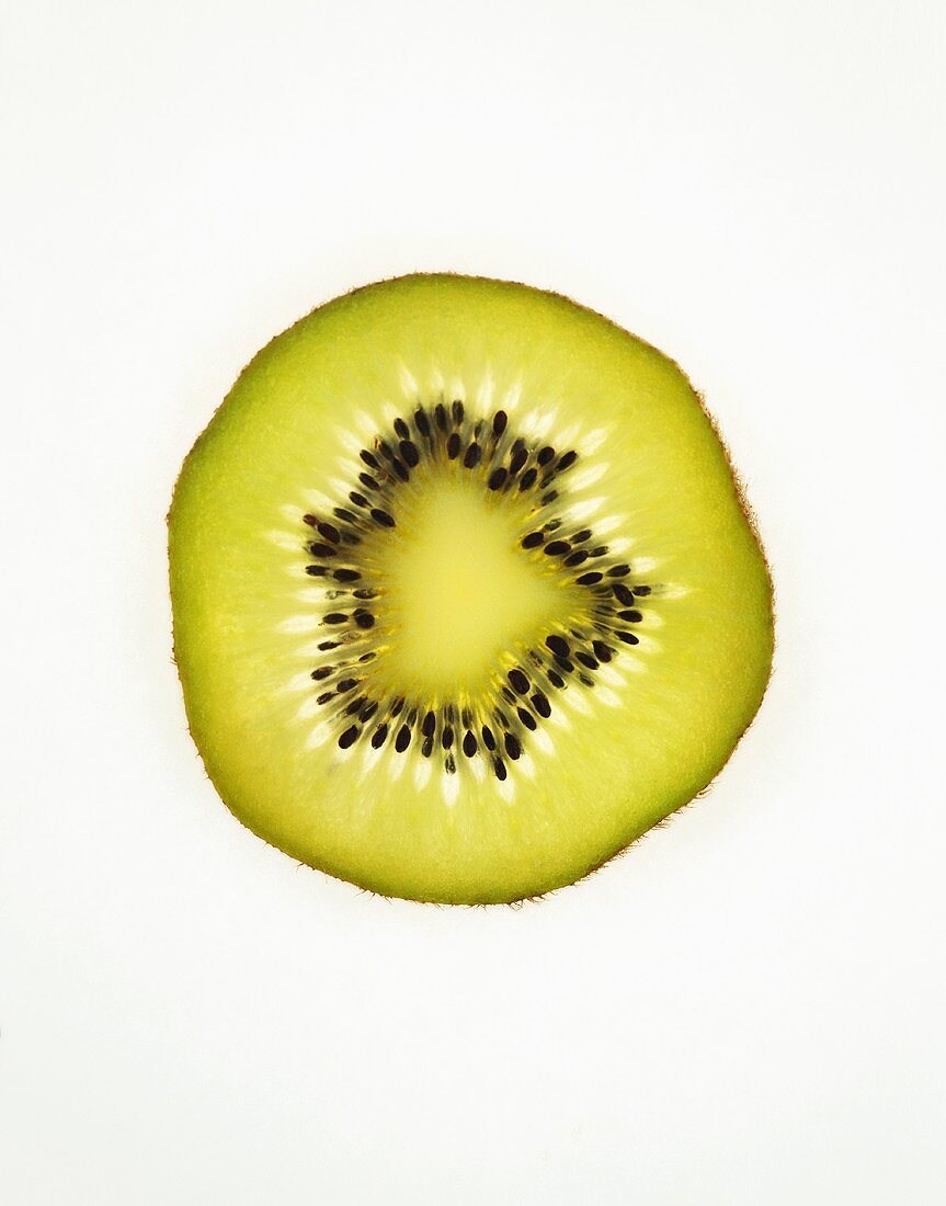 Slice of kiwi fruit, backlit