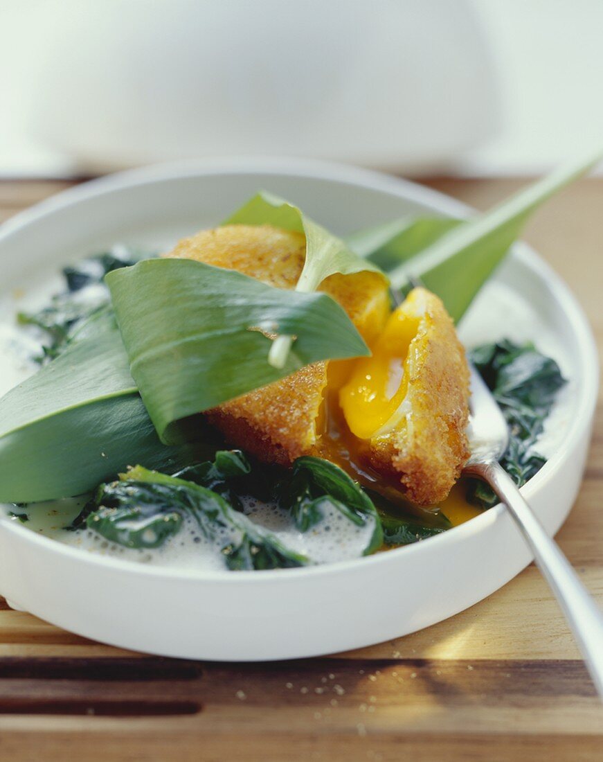Deep-fried poached eggs on creamed spinach with ramsons