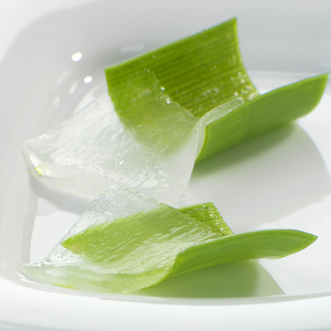 Aloe vera leaves (outer leaf rind and Aloe vera gel)