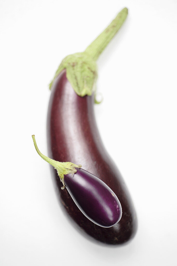 Aubergine und Miniaubergine