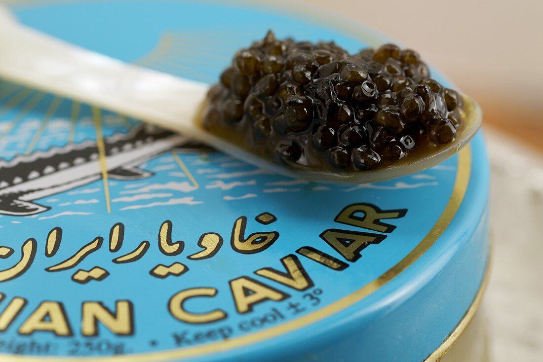Schwarzer Kaviar (aus dem Iran)