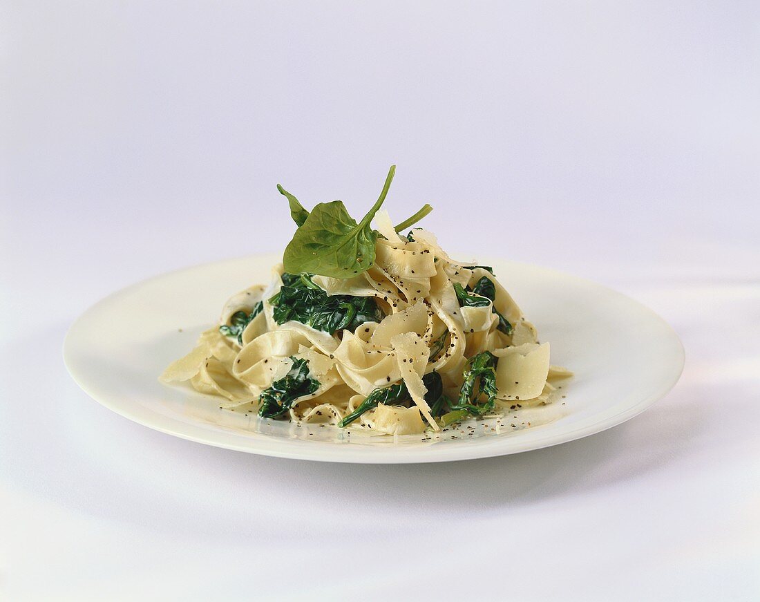 A Nest of Fresh Spinach Pasta