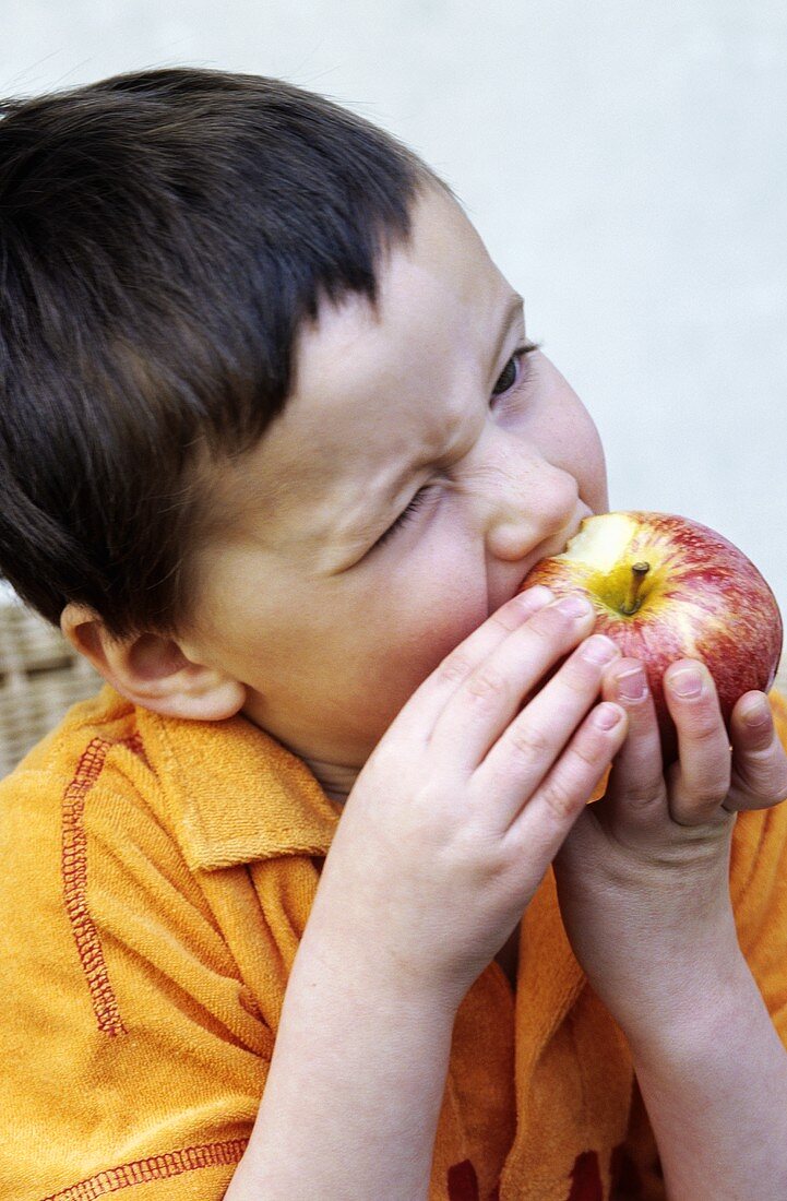 Kleiner Junge beisst kräftig in Apfel