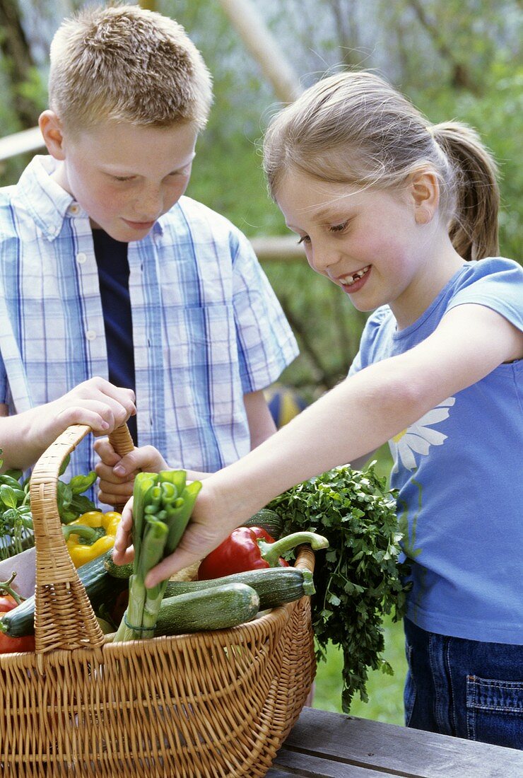 Zwei Schulkinder füllen Korb mit frischem Gemüse