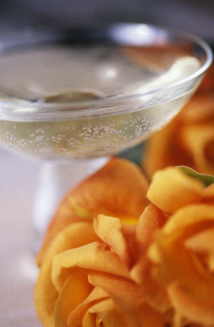 Ein Glas Champagner und Rosenblüten