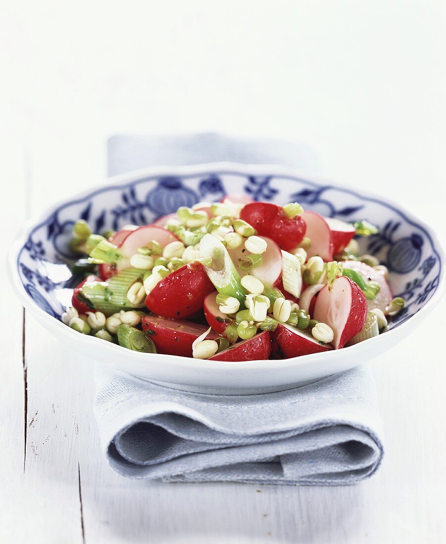 Radish salad with sprouted seeds