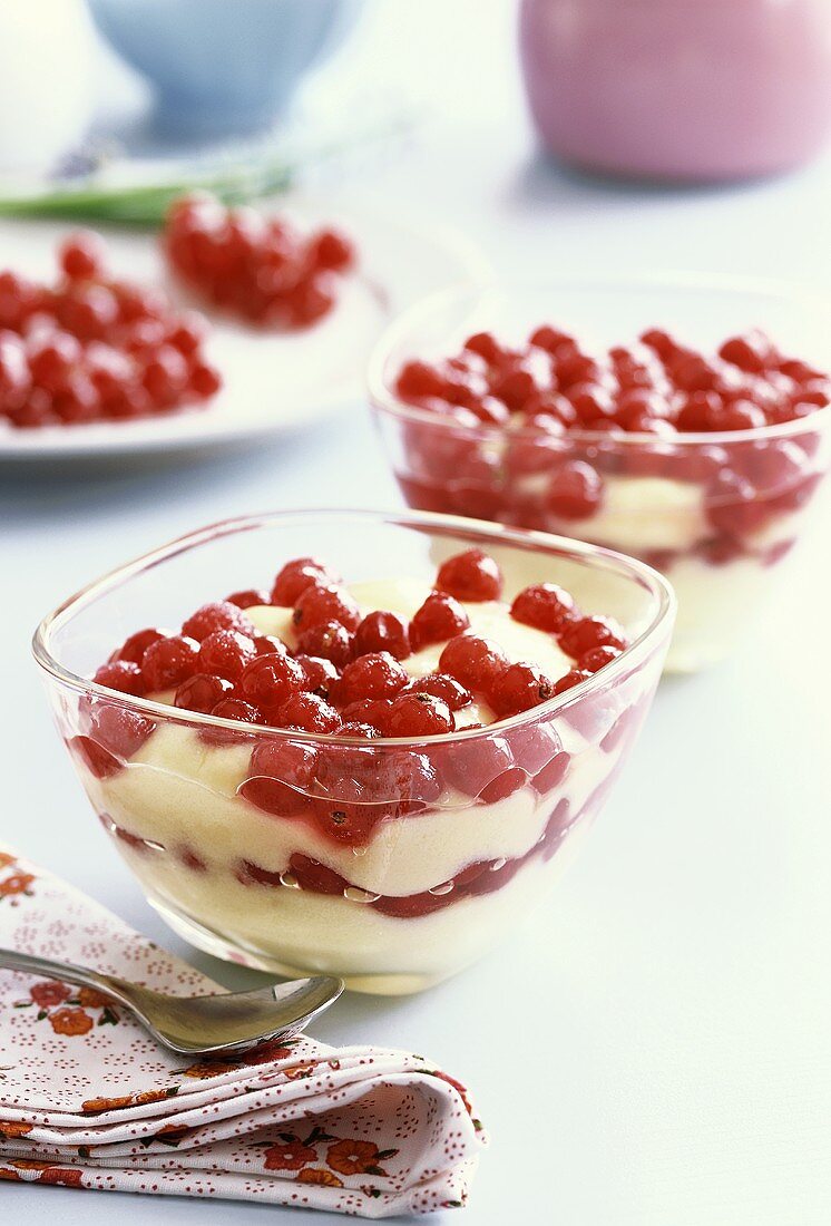 Vanilla Pudding Mold Covered in Currants